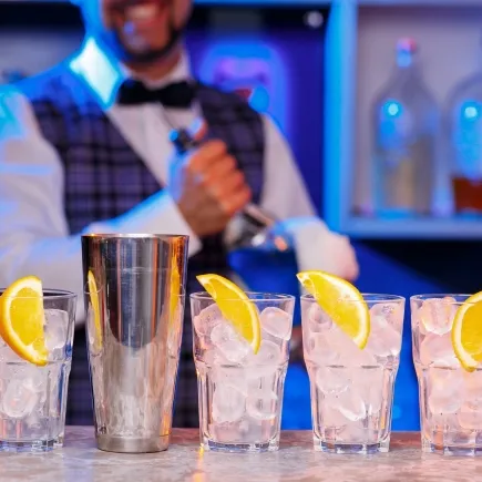 Privates Gin-Tasting-Erlebnis